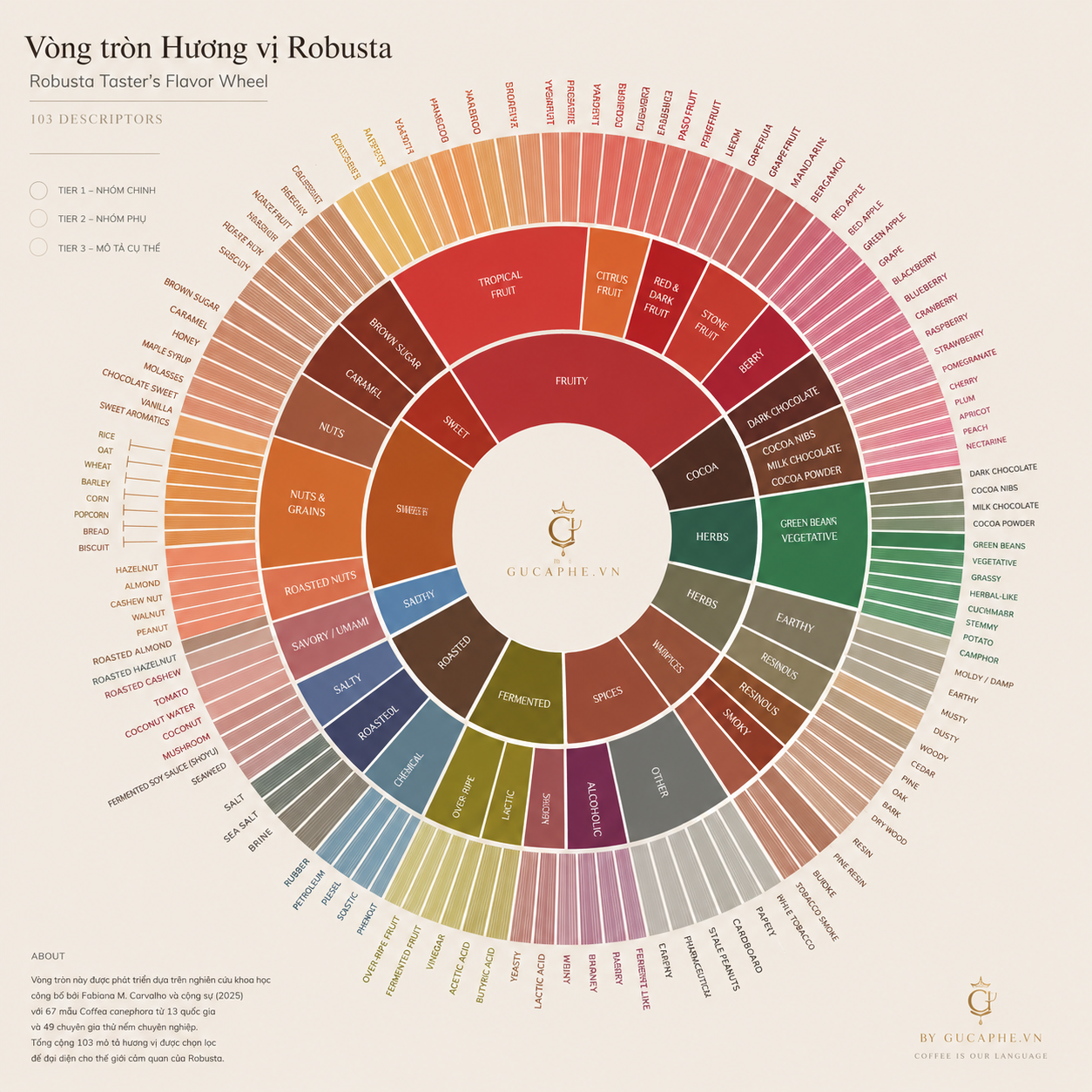 Robusta có 103 cách để nói về hương vị: Vòng tròn hương vị Canephora 2025 và câu chuyện của Lâm Đồng