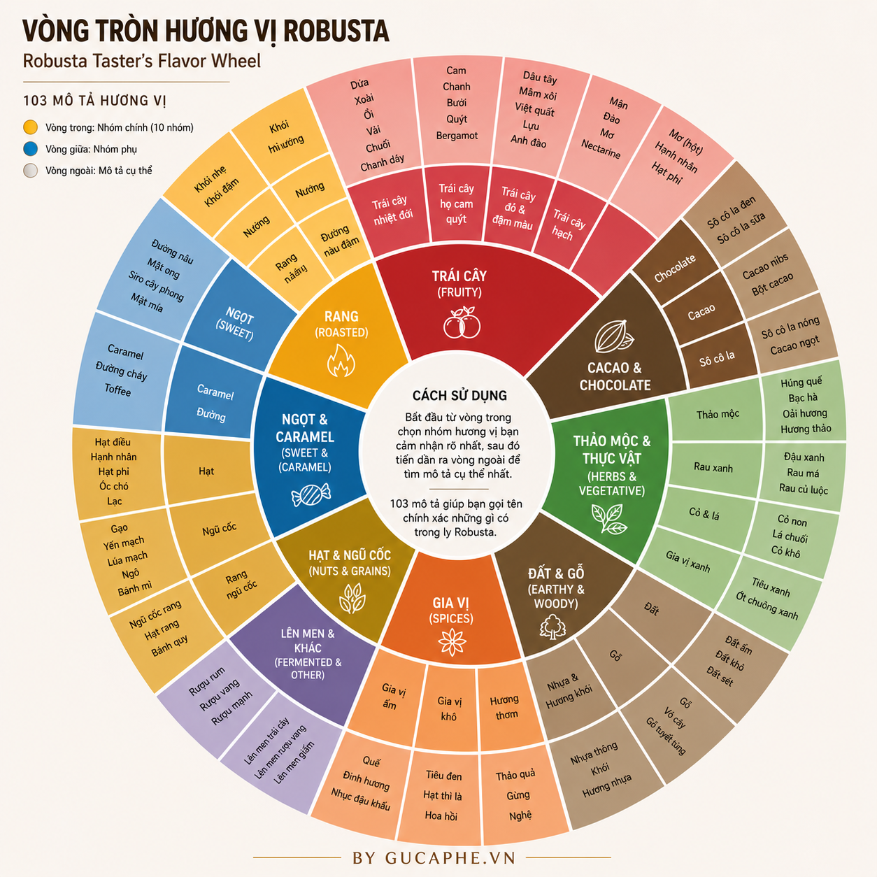 Robusta không chỉ có vị đắng: năm 2025, nó có vòng tròn hương vị của riêng mình